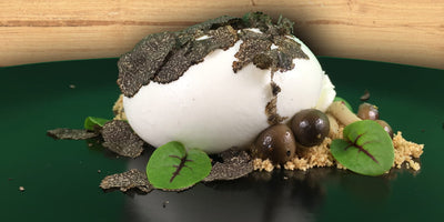 RECIPES - Burrata with hazelnut soil, whisky scented Shimeji mushroom and black truffle