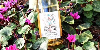 ON THE SPOT - Unveiling the Essence of Languedoc Rosé Wine: A Perfect Blush for Wine Enthusiasts