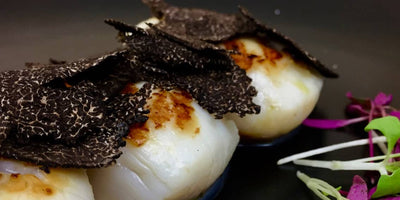 RECIPES - Seared diver scallops, hazelnut cream and black truffle "Pregiato"